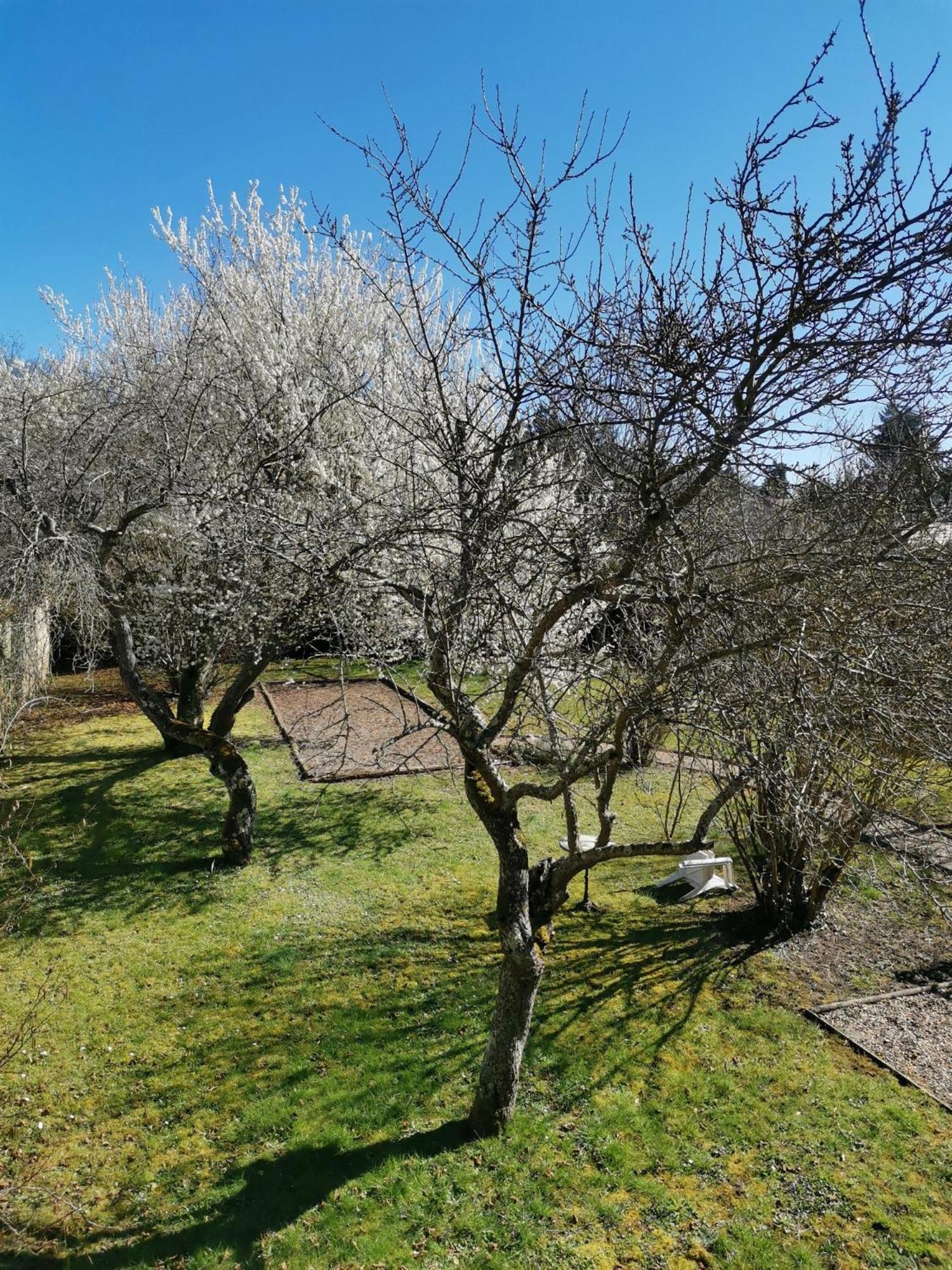 Logis Hotel Le Cerf Briare Bagian luar foto